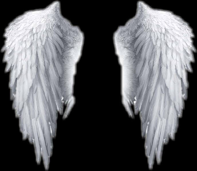 Pairof White Angel Wings PNG