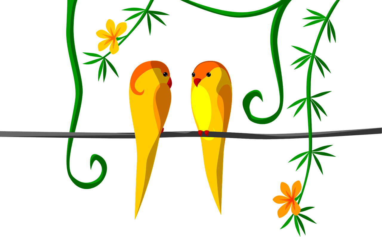 Pairof Yellow Birdson Branch PNG
