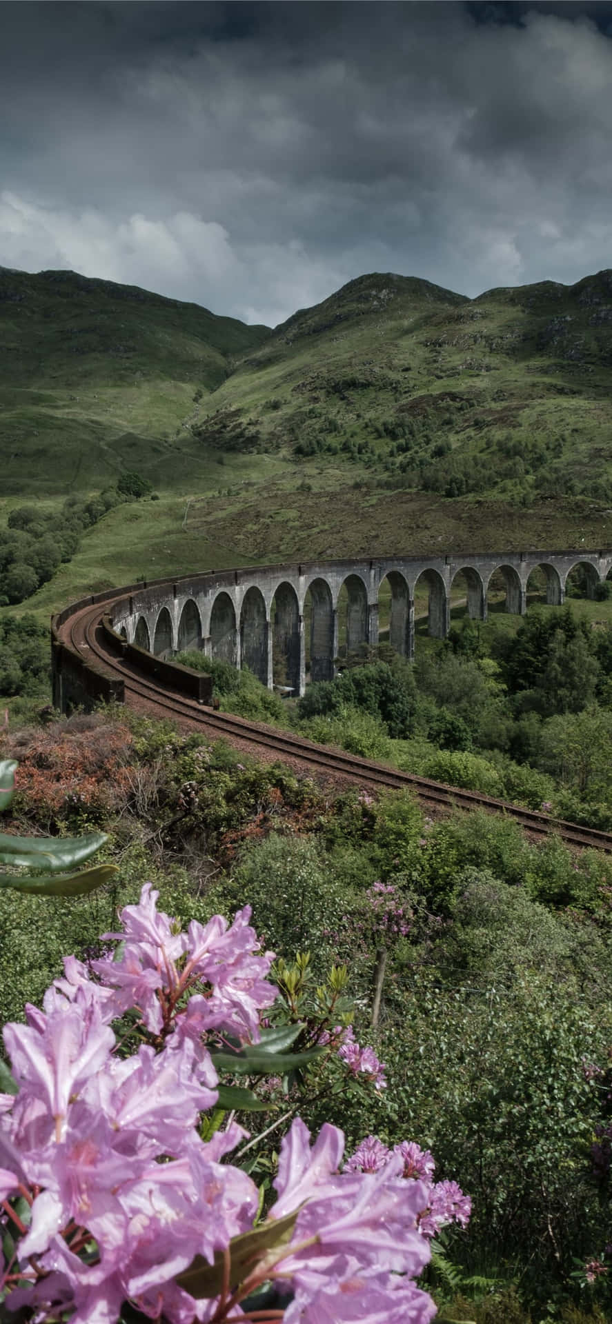 Paisajemajestuoso De Las Tierras Altas De Escocia Con Colinas Ondulantes Y Una Flora Pintoresca.