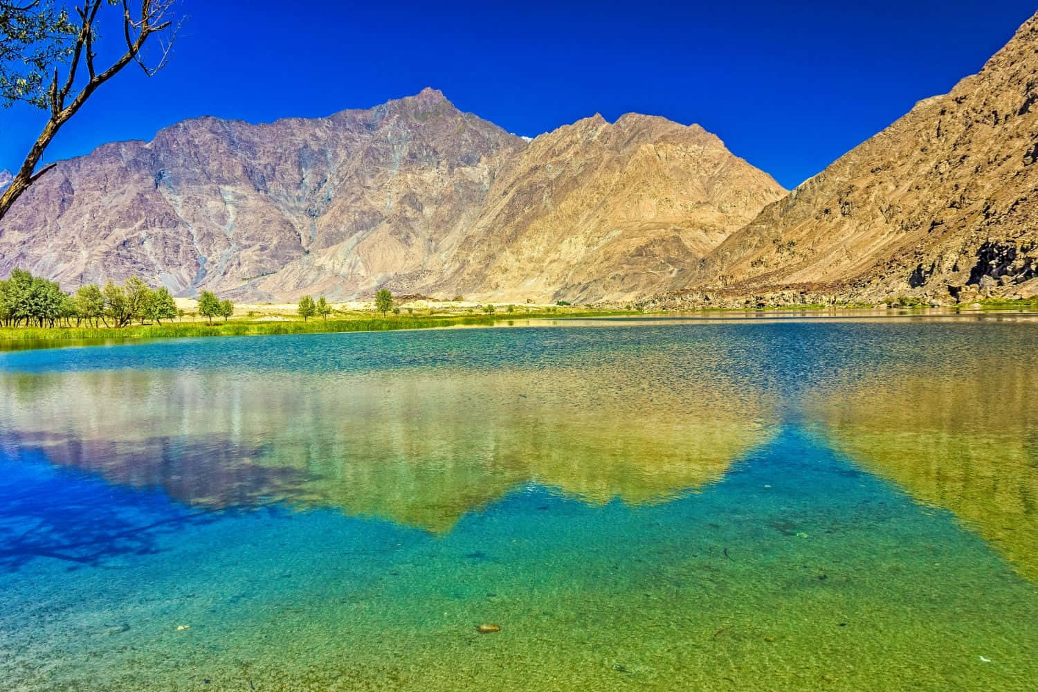Captivating view of Naltar Valley, Pakistan