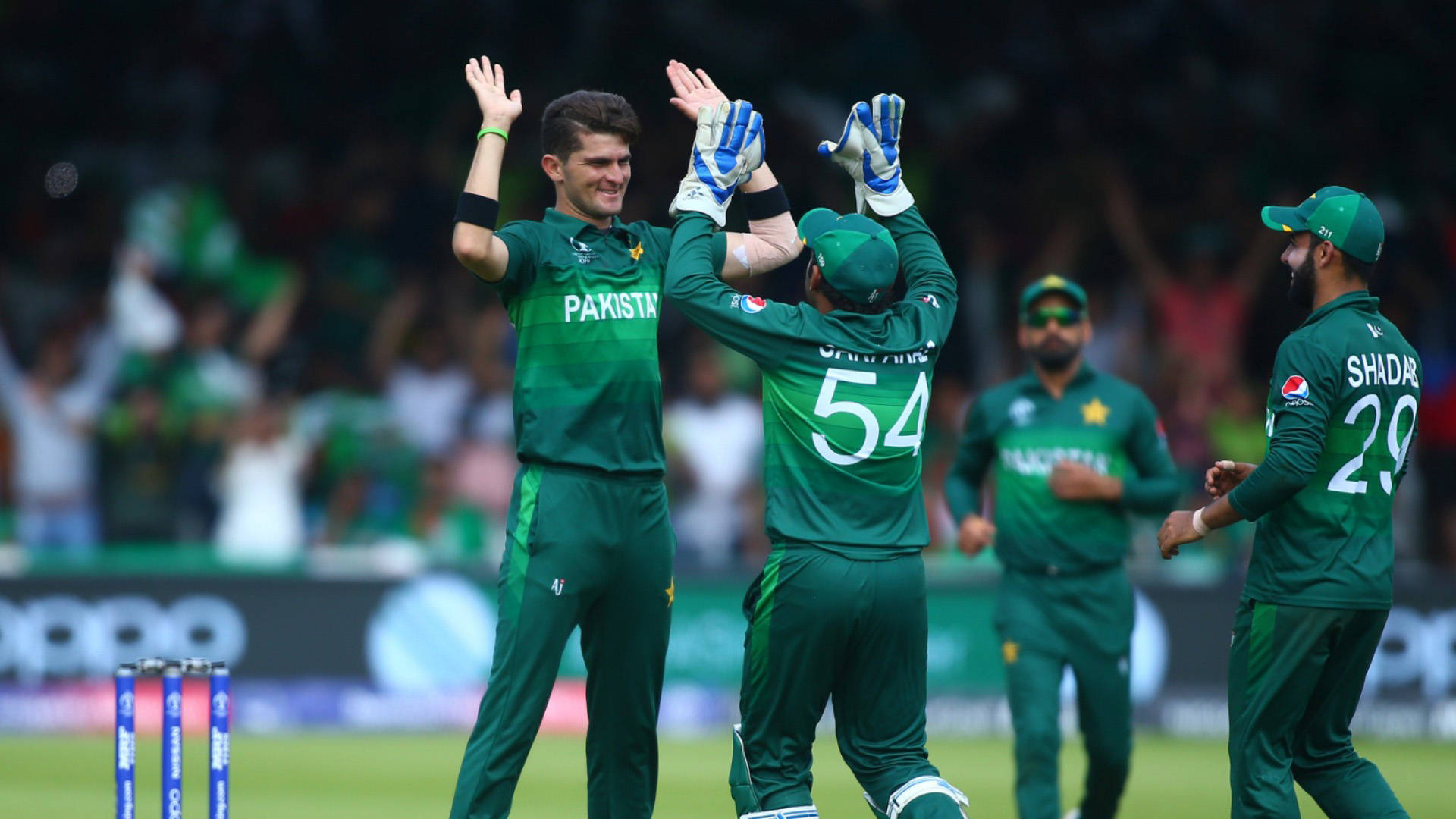 Cricketde Pakistán Copa Mundial 2019 Fondo de pantalla