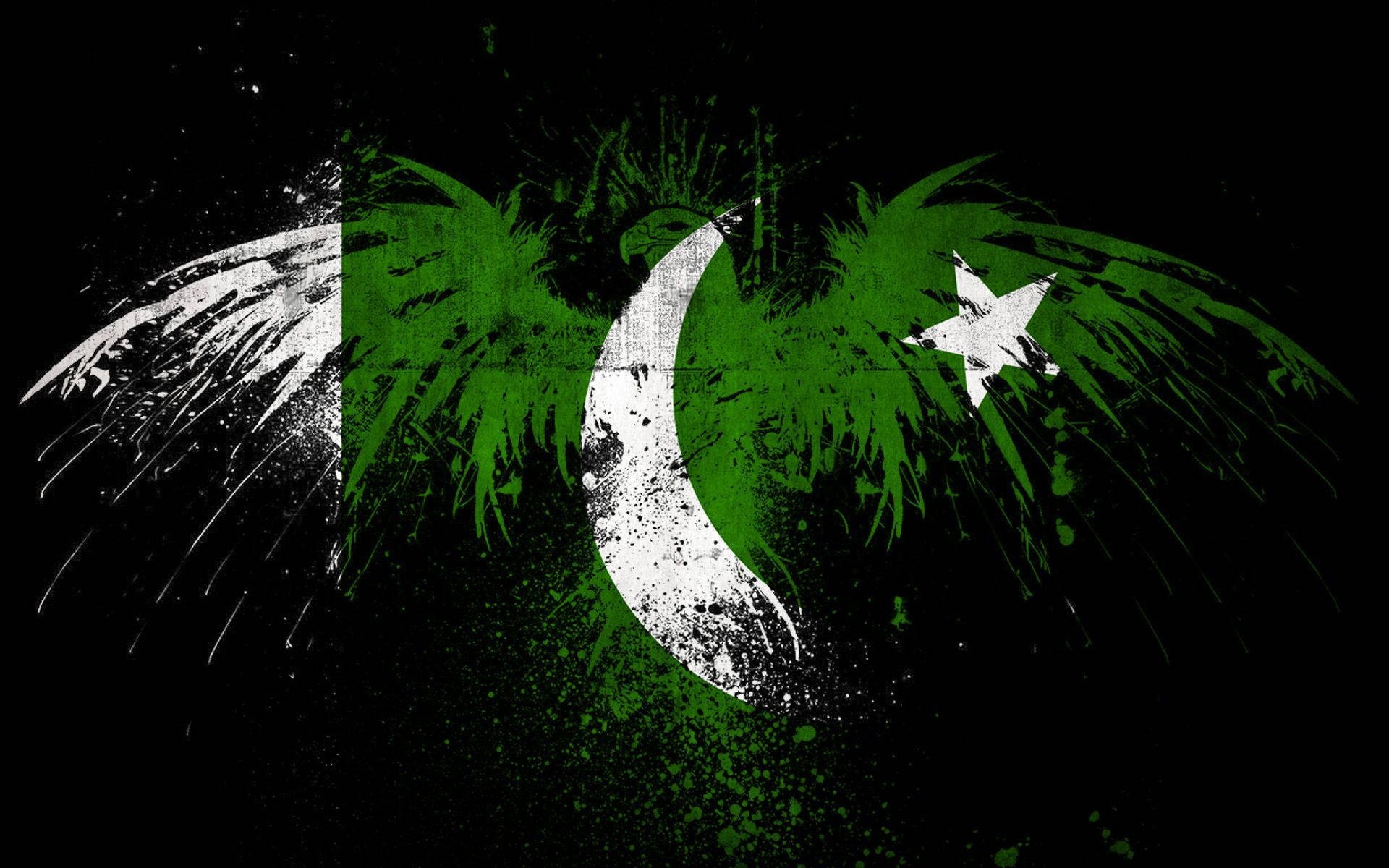 Pakistan Flag Eagles Outline Wallpaper