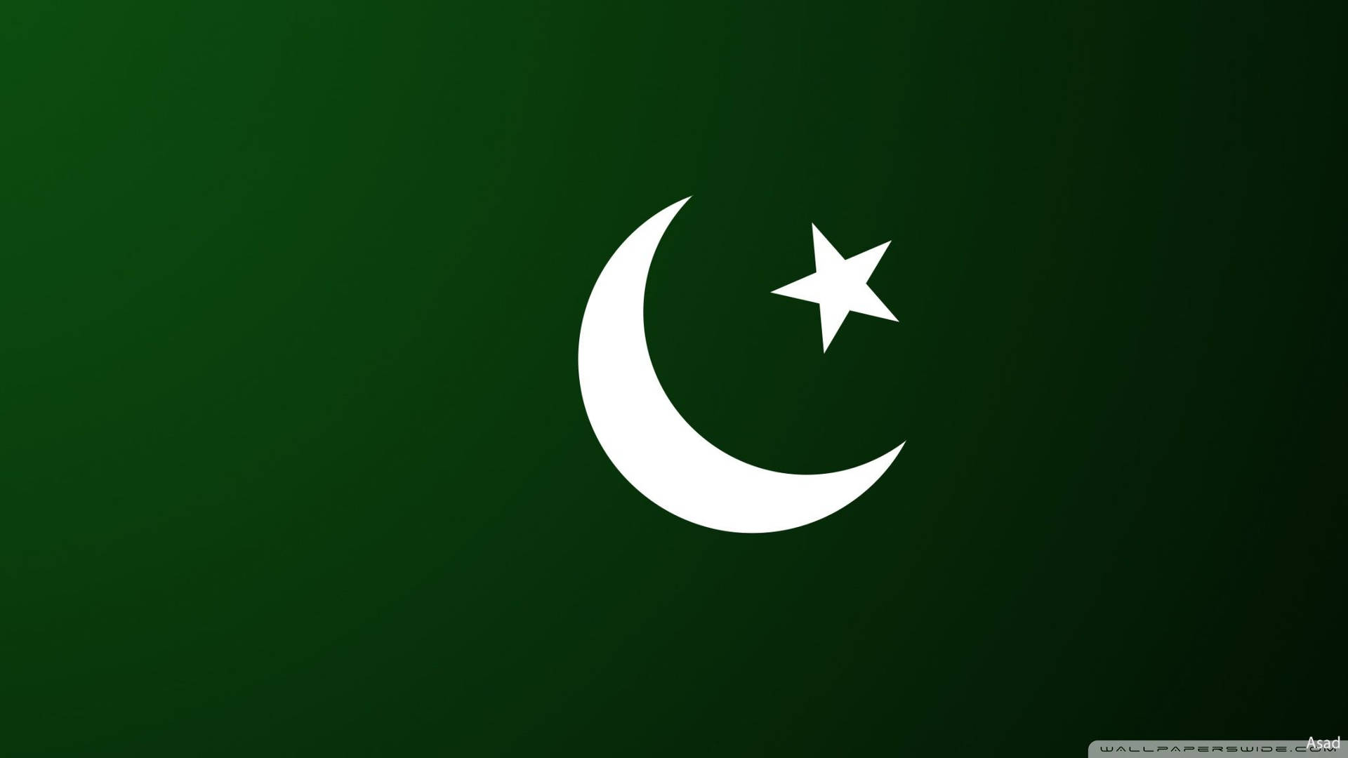 Pakistan Flag Minimalist Digital Illustration Wallpaper