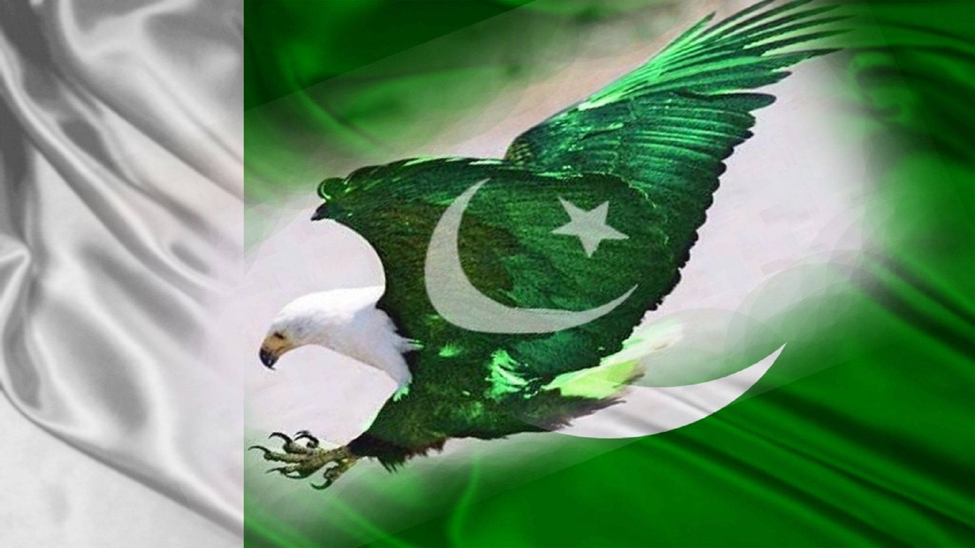 Pakistan Flag On Eagles Body Wallpaper
