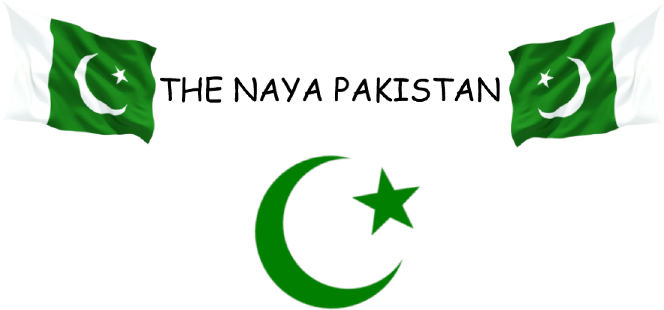 Pakistan Flag Variations PNG