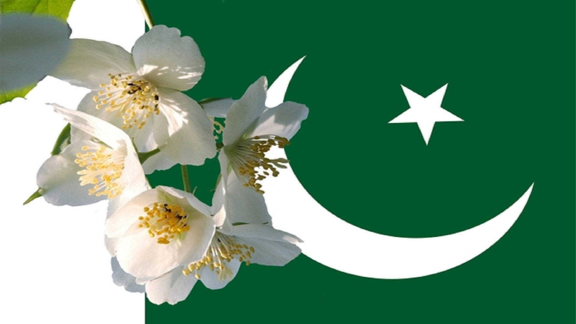 Caption: Vibrant Floral Emblem of Pakistan Wallpaper