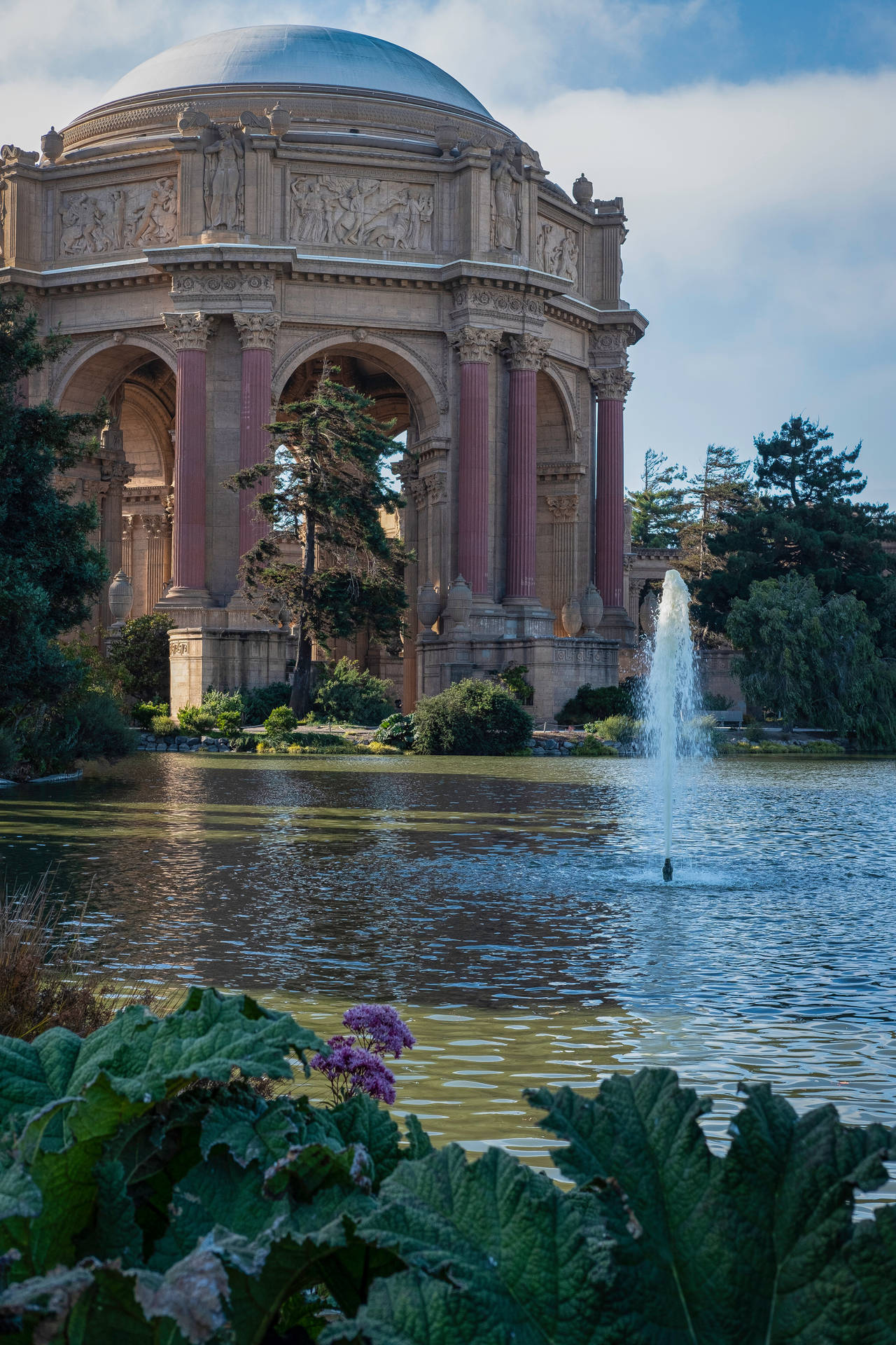 Palace of Fine Arts Plants In Lagoon Wallpaper