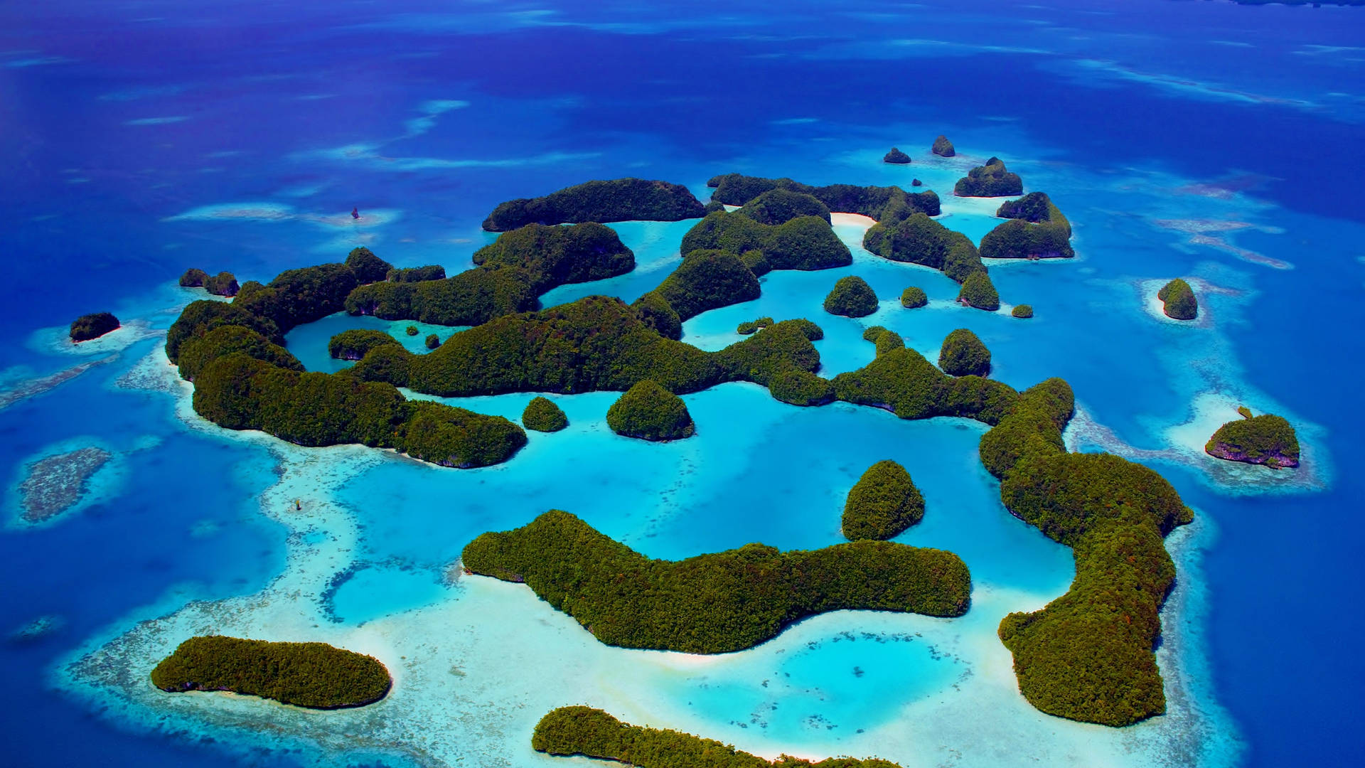 Palau Enriching Blue Waters Wallpaper