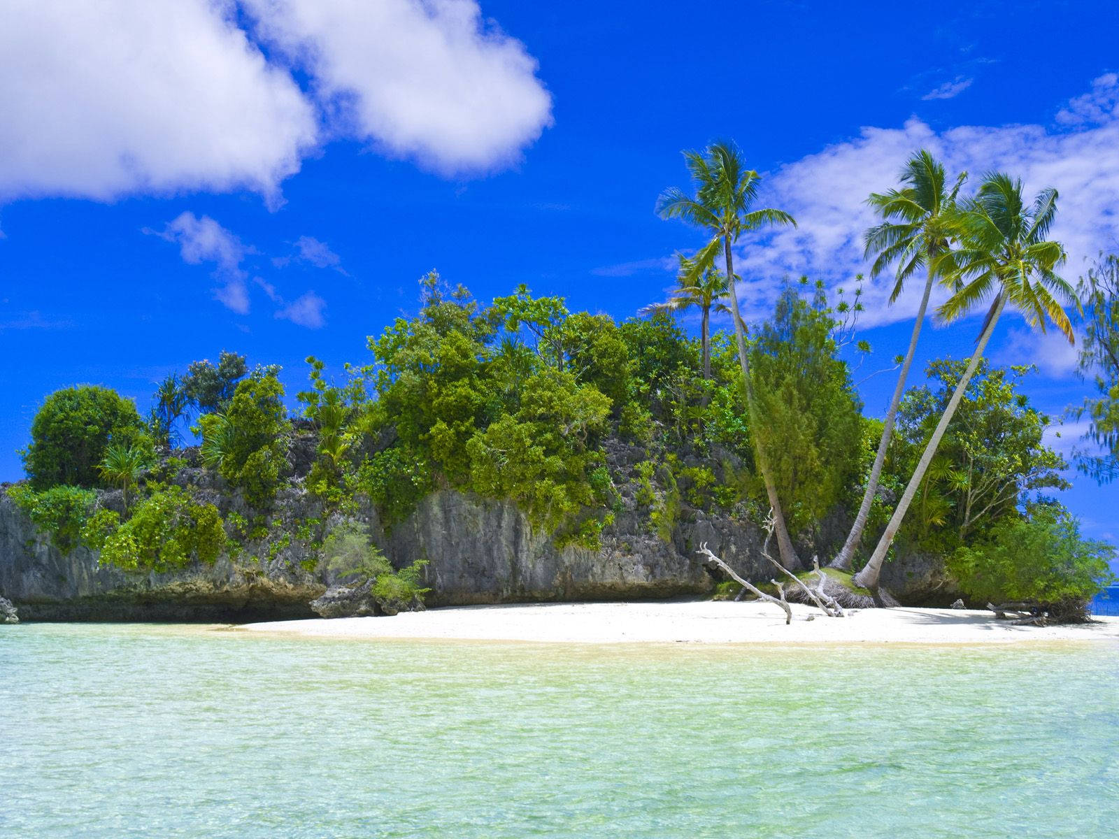 Palau Island Med Kæmpe Kalksten Wallpaper