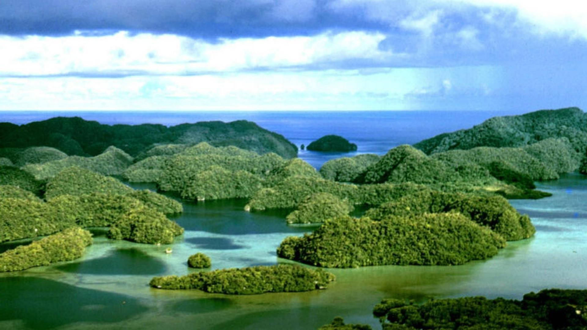 Palau Jungled Rock Islands