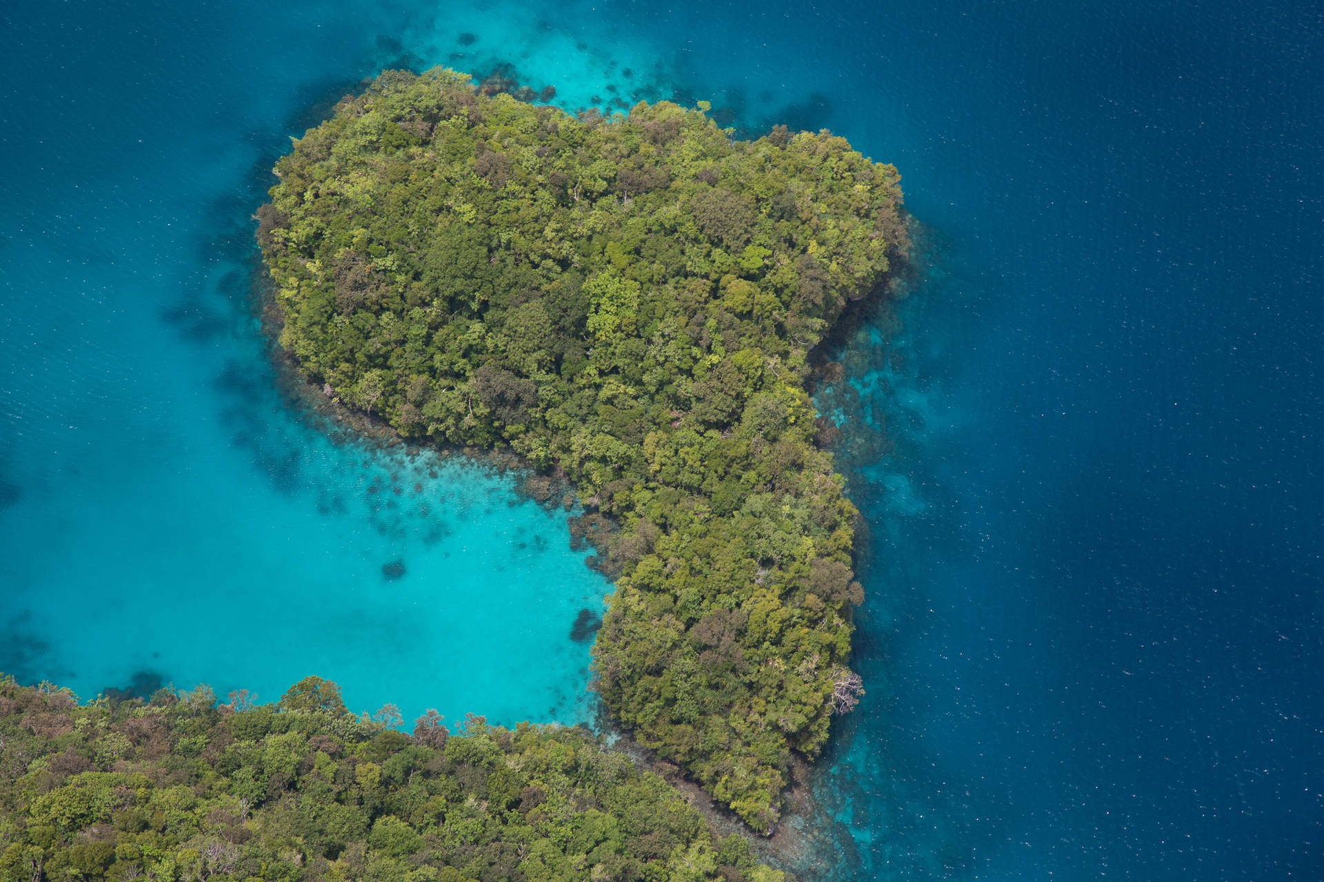 Palau Luscious Green Island