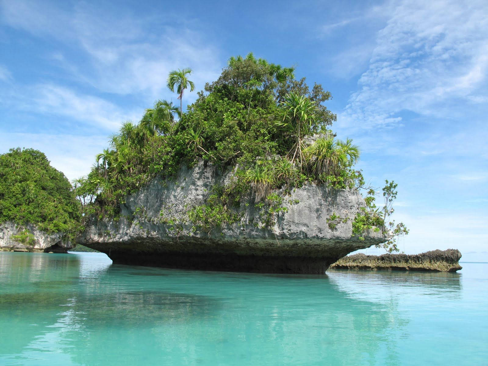 Palau Rock Narrow Bottom