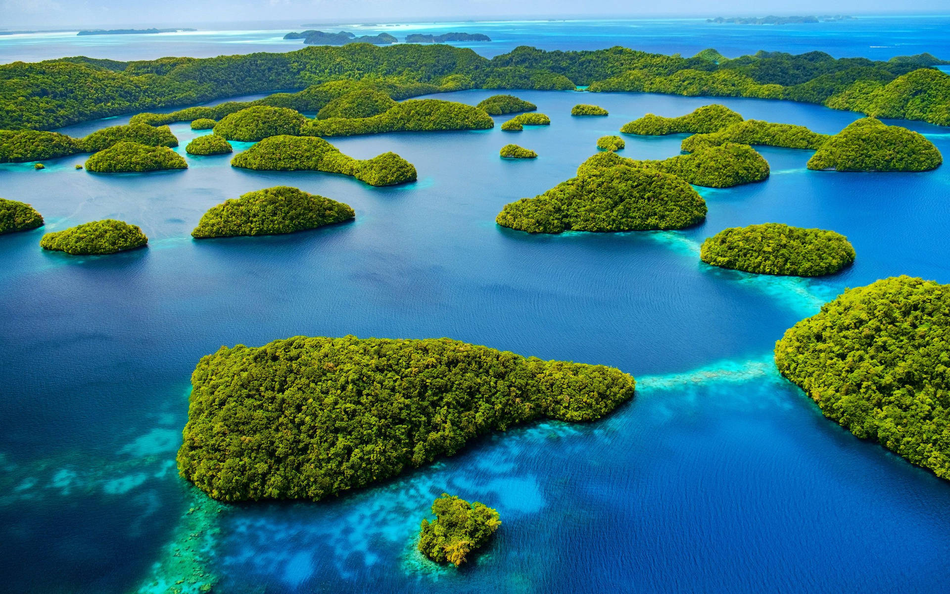 Palau Wonderful Islands