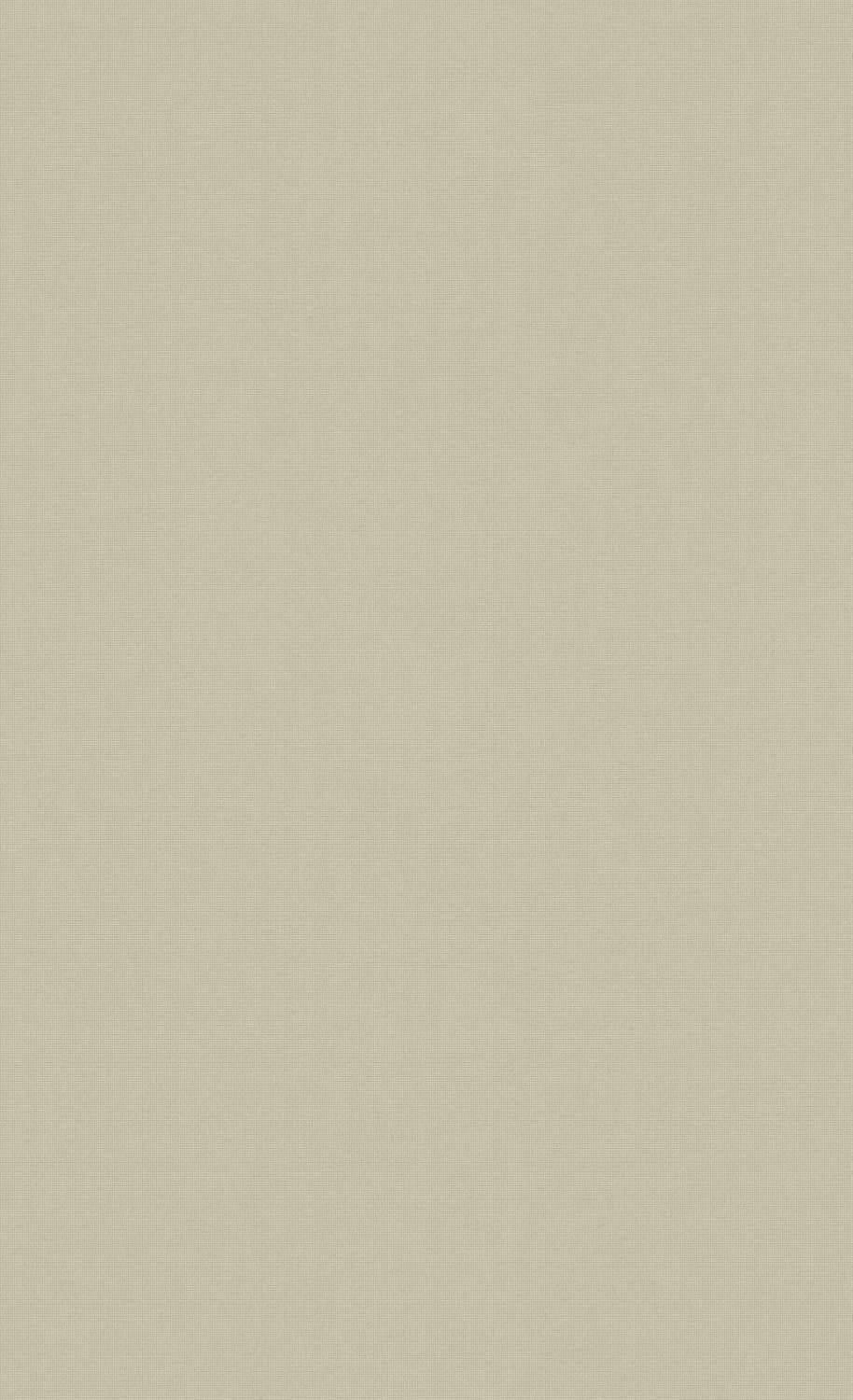 Pale Aesthetic Beige Background