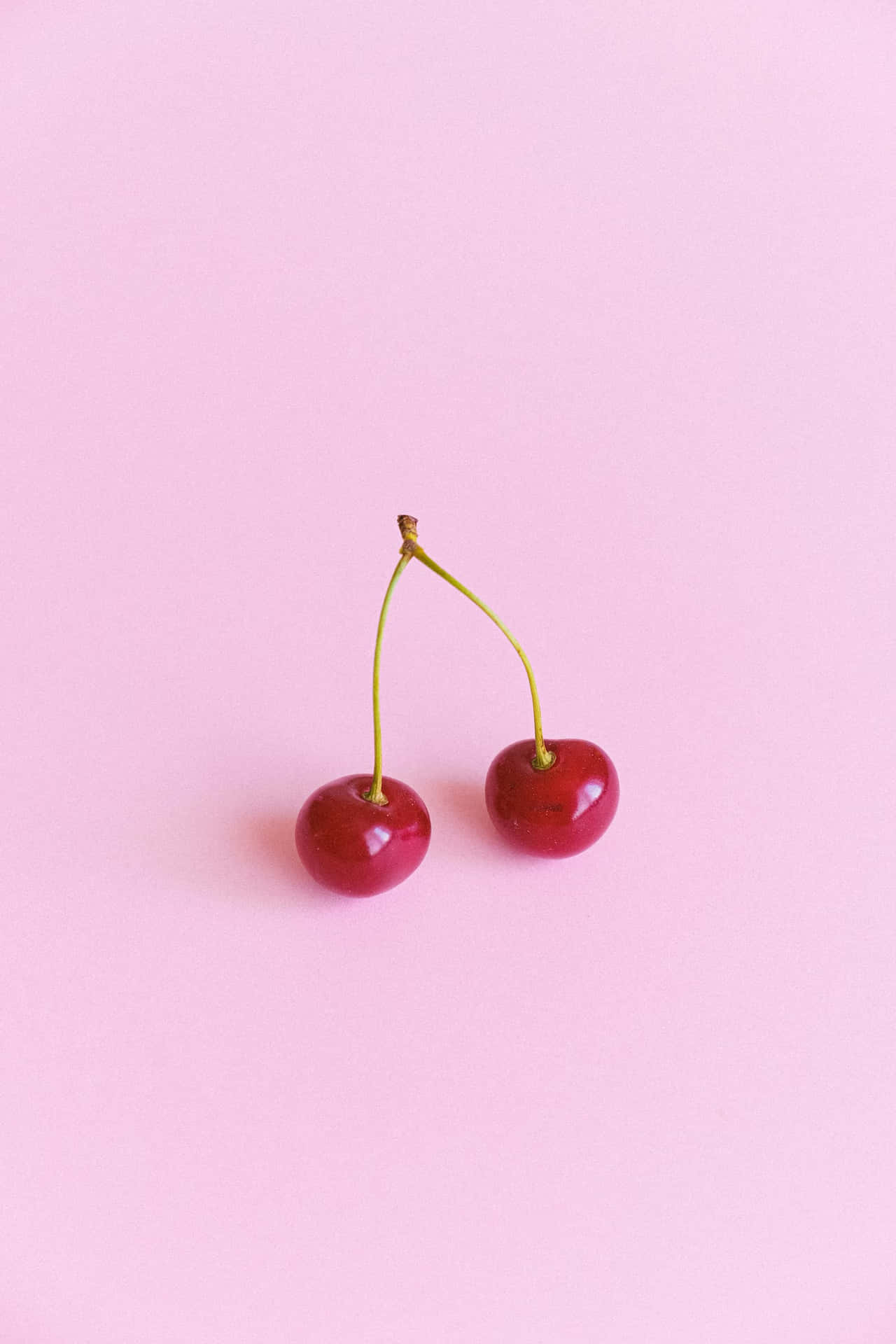 Pale Pink Background Red Cherries