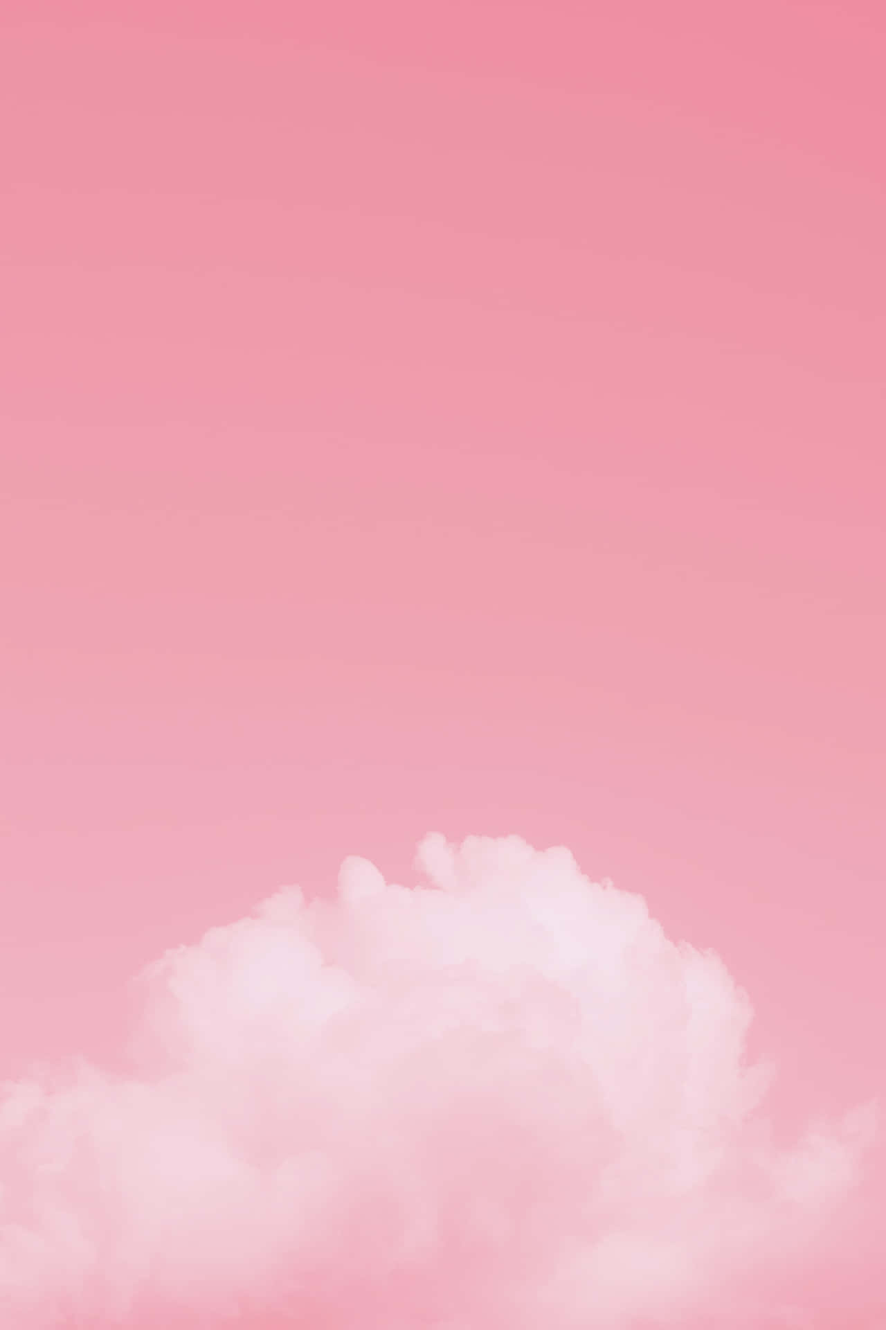 Pale Pink Background Thick Cloud