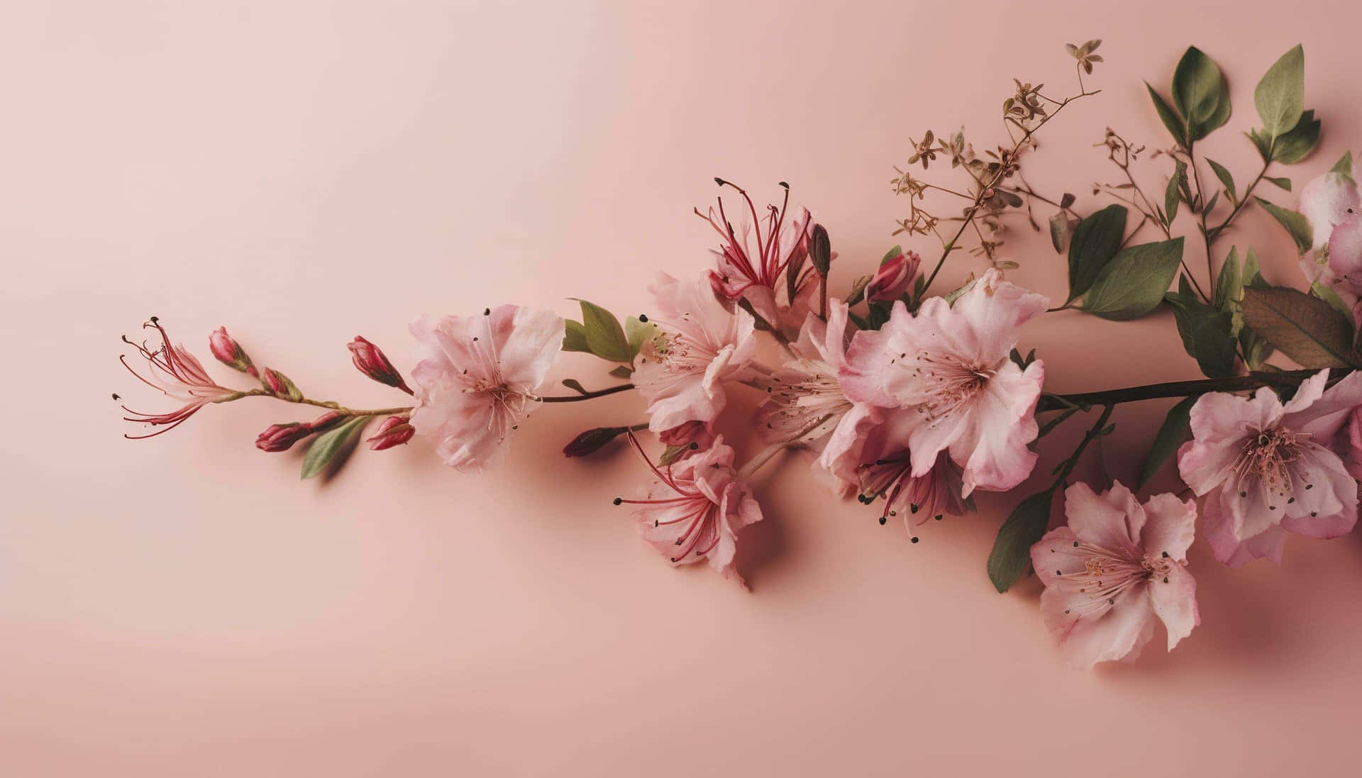 Pale Pink Floral Arrangement Wallpaper