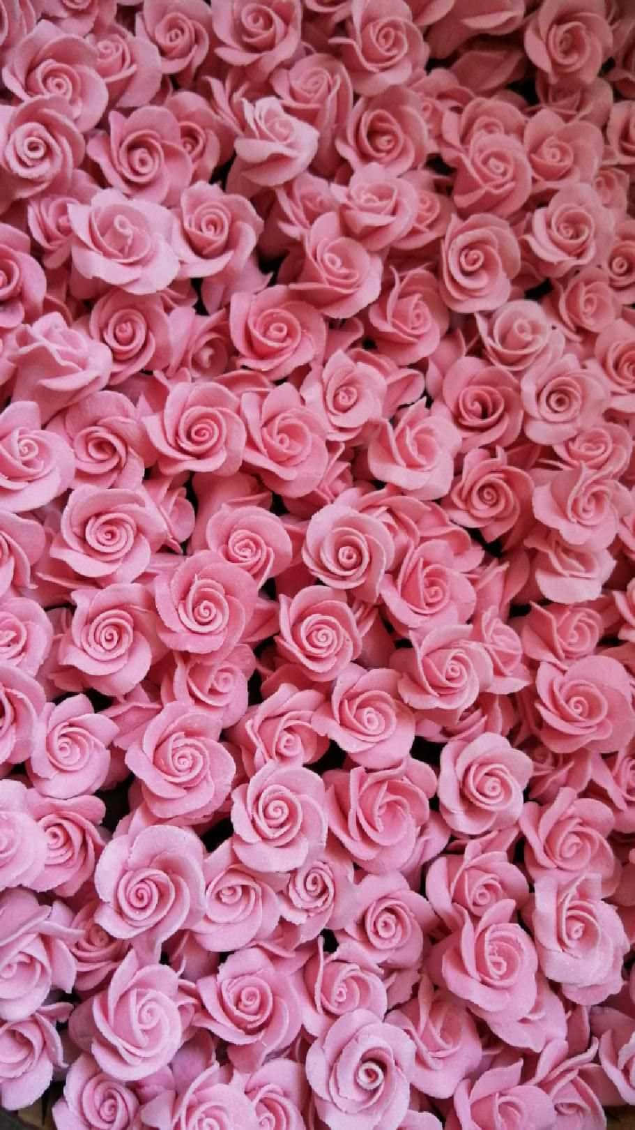 Pale Pink Rose Blooms Background Wallpaper