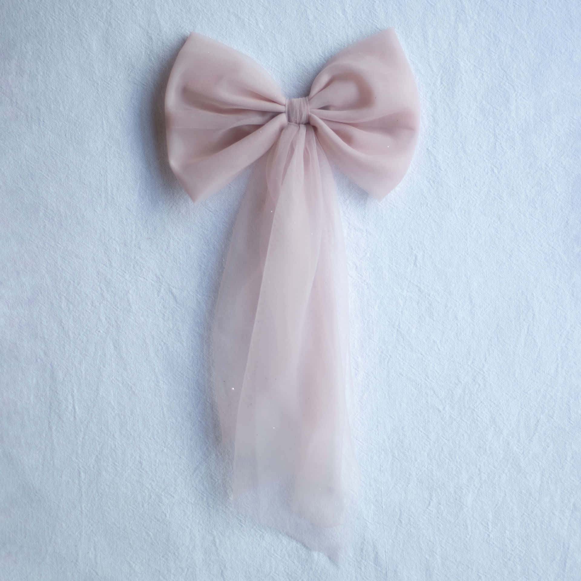Pale Pink Silk Bow Aesthetic Wallpaper