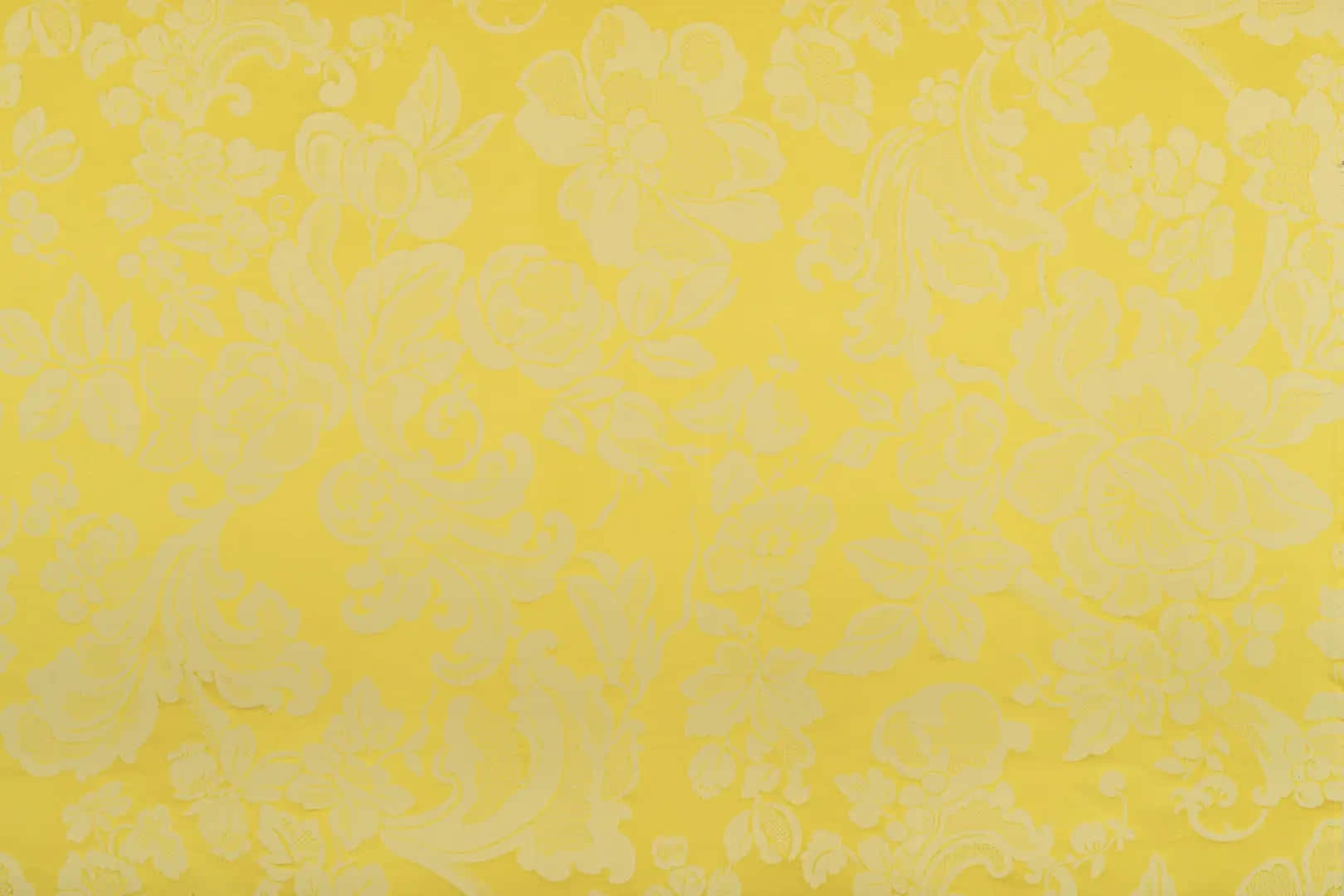 A Soft, Pale Yellow Background