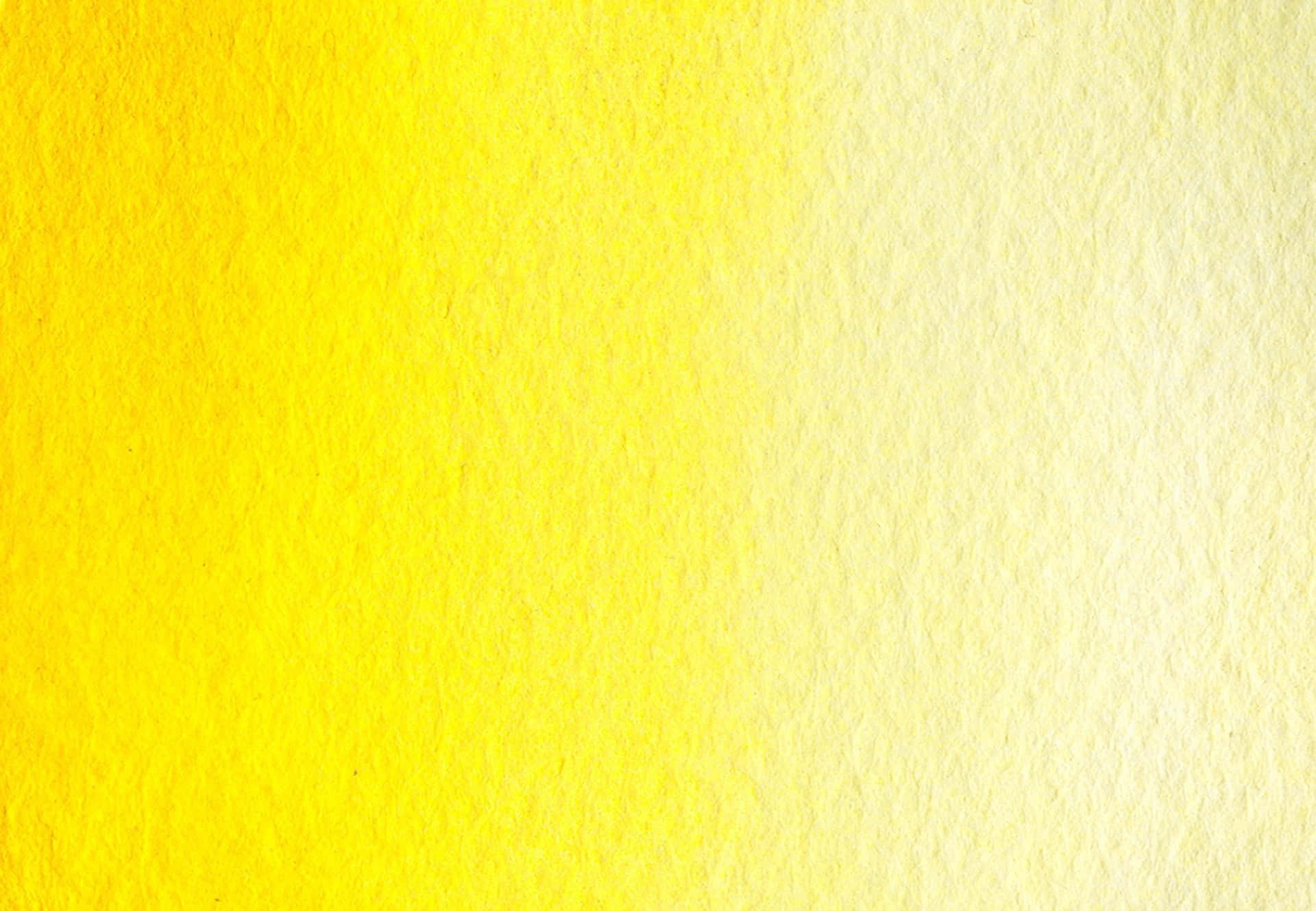 Soft and Serene Pale Yellow Background