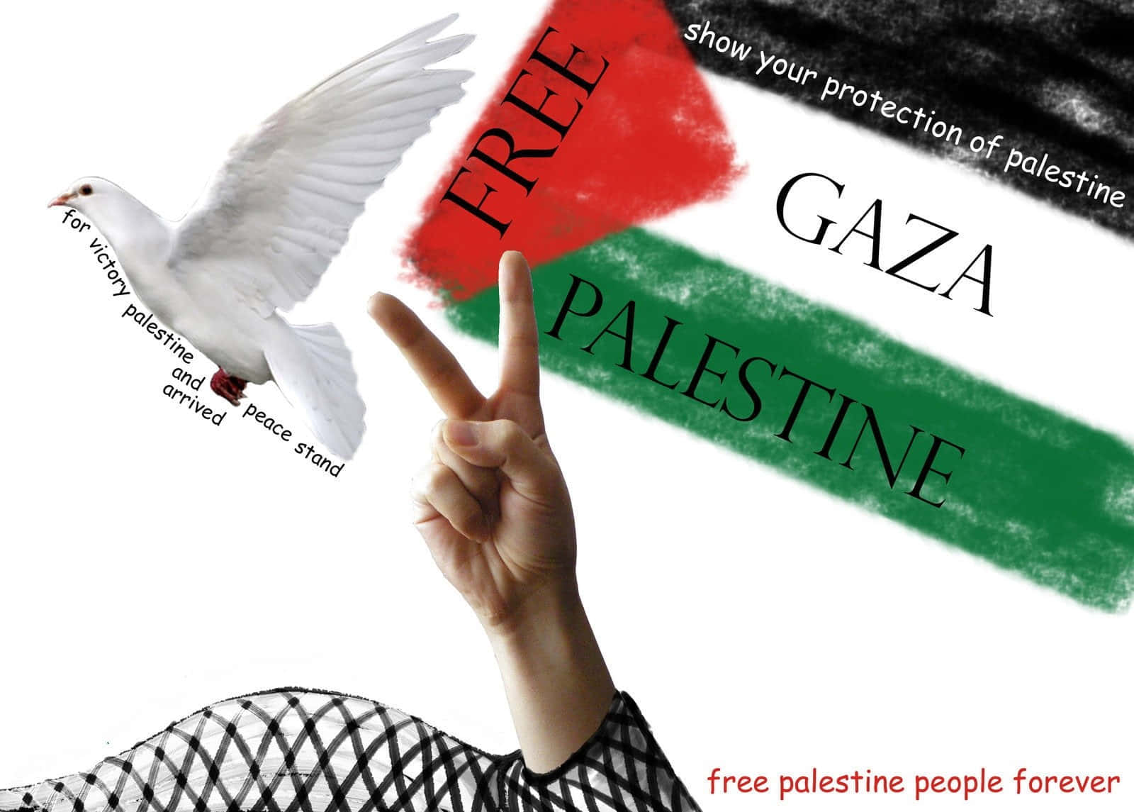 Kostenlosgaza Palästina Für Immer