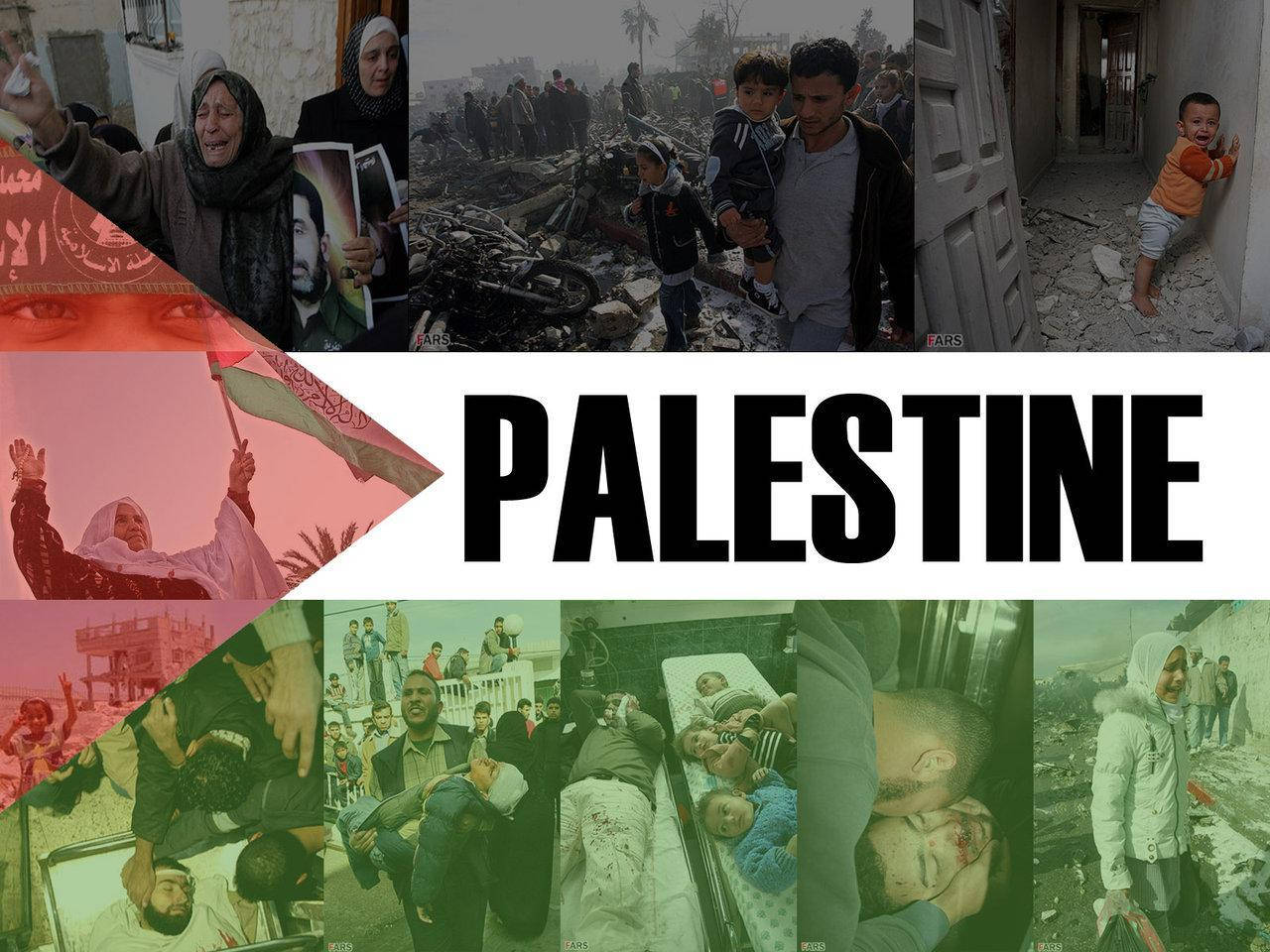 Palestine Flag Collage Wallpaper