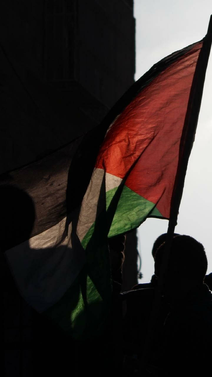 Palestine Flag Silhouette Wallpaper