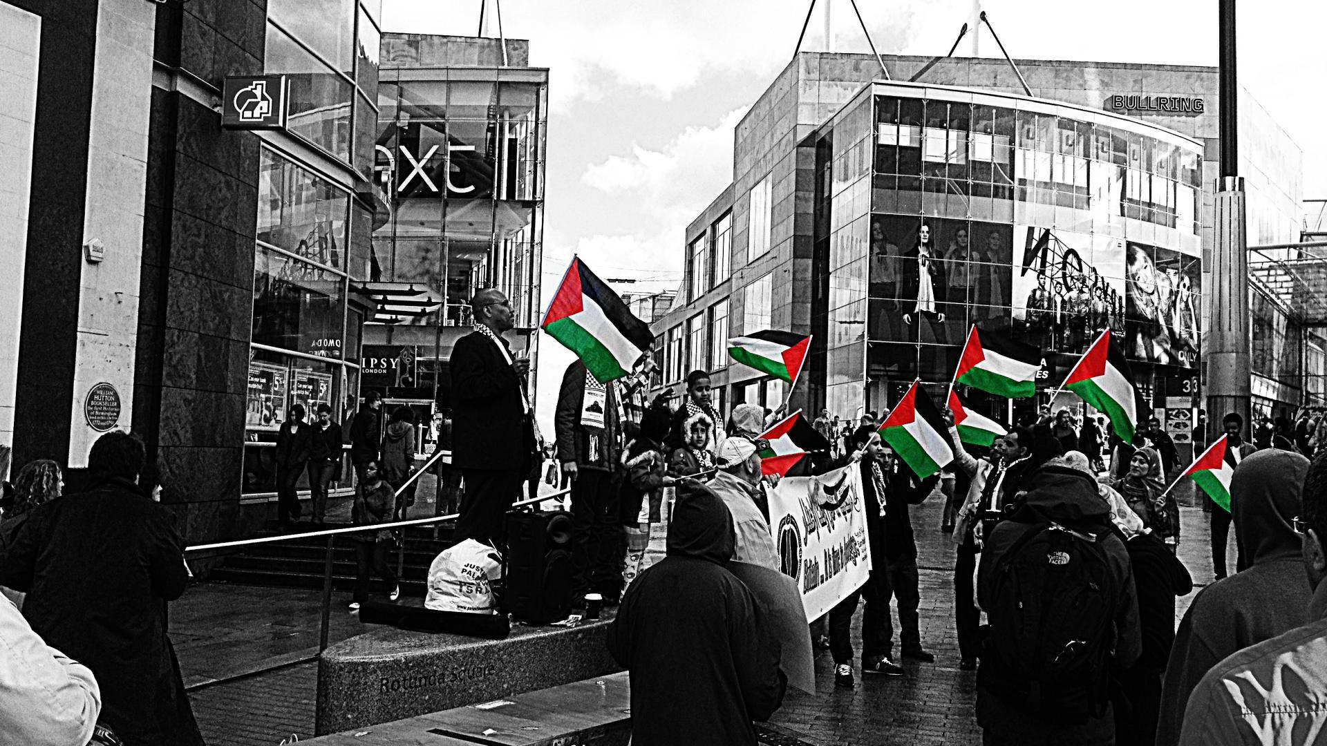 Palestine Rally In Black And White Wallpaper