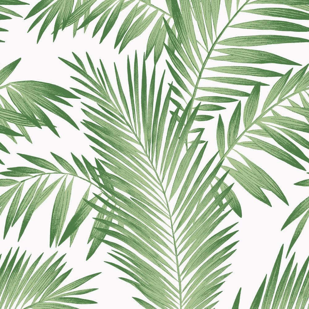 Caption: Tropical Palm Trees Scenery