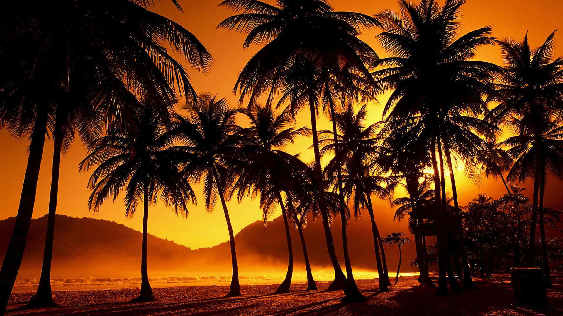 Captivating Palm Tree Skyline
