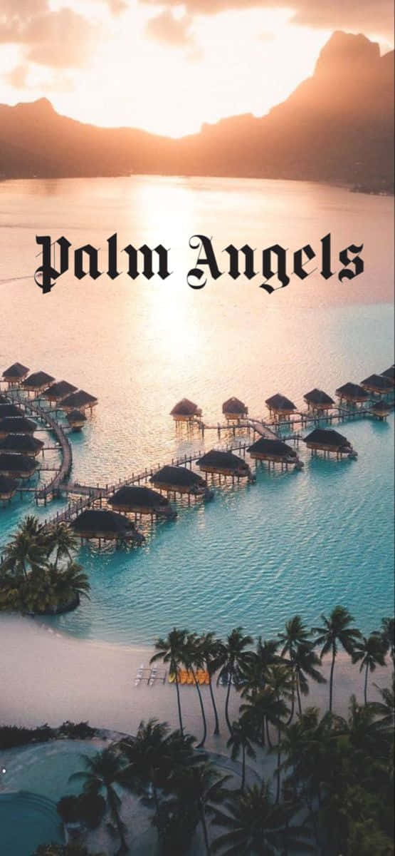 Palm Angels Floating Cottages Wallpaper
