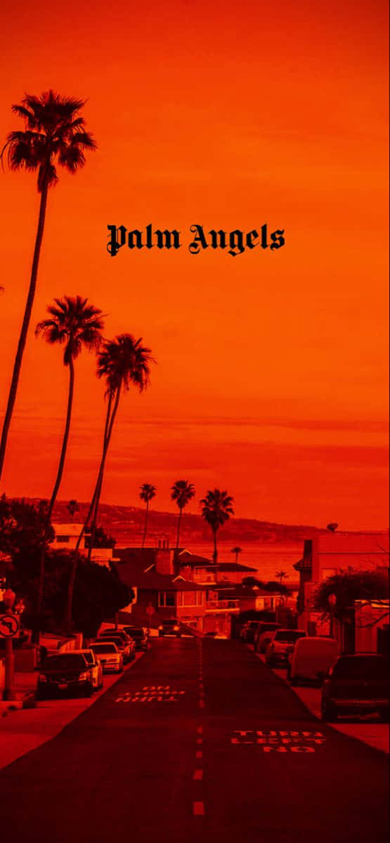 Palm Angels Red Sky Wallpaper