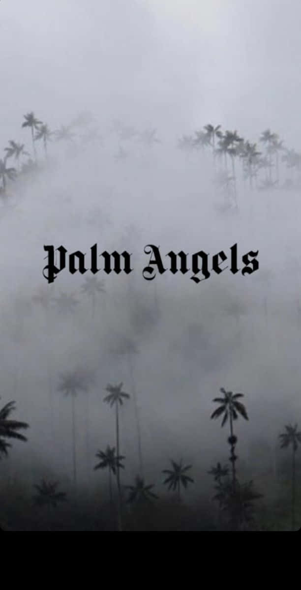 Palm Angels  Wallpaper iphone neon Palm angels Angel wallpaper