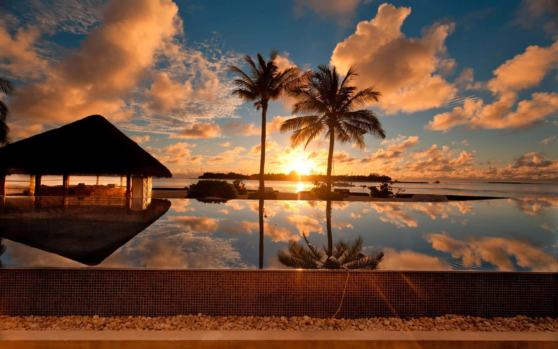 Palm Beach House Sunset View Wallpaper