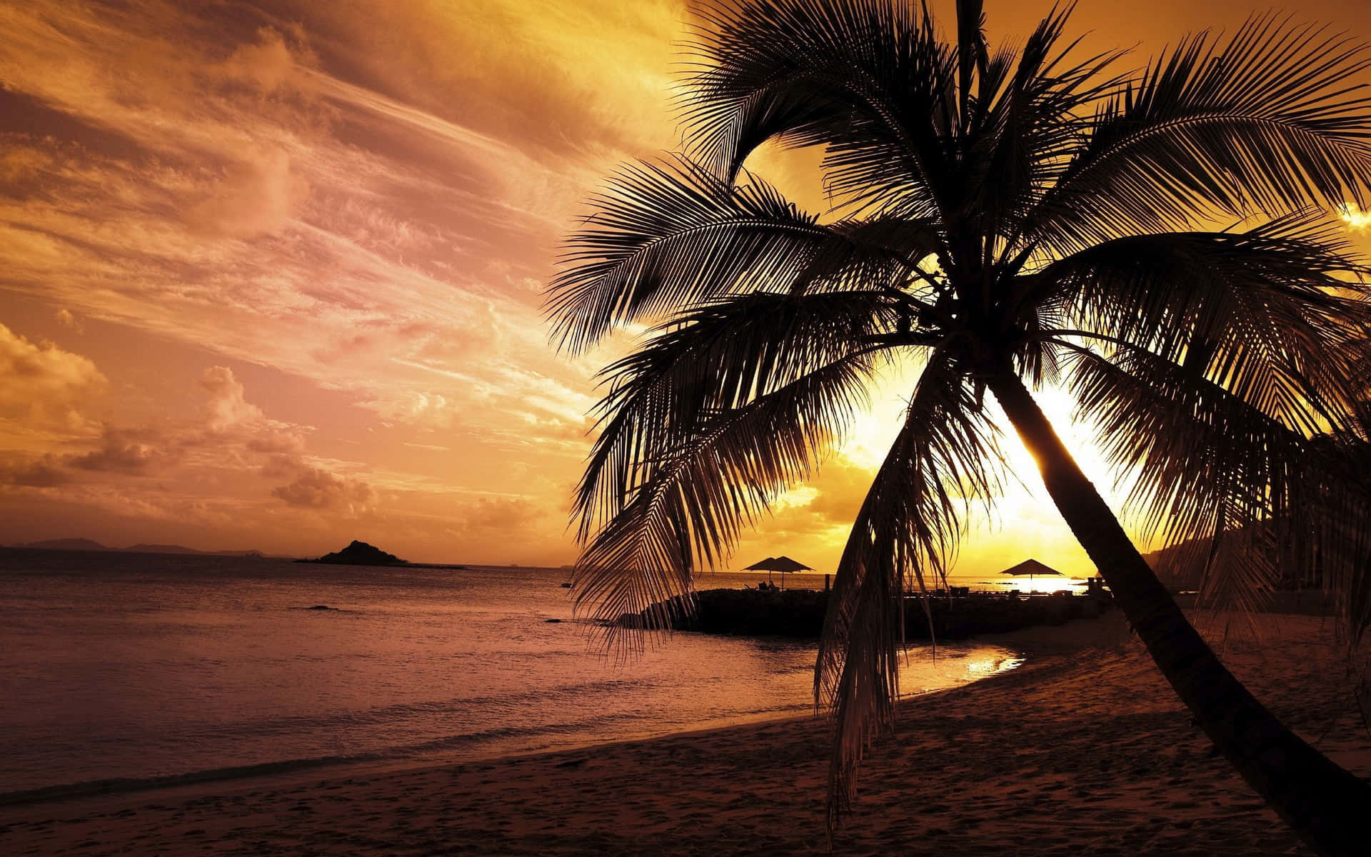 Palm Tree Silhouette Beach Wallpaper