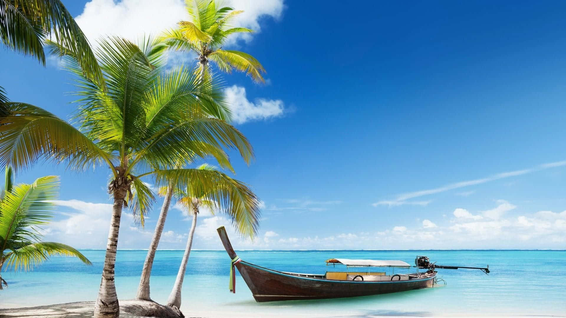 Océano,palmeras Y Barco En La Playa. Fondo de pantalla