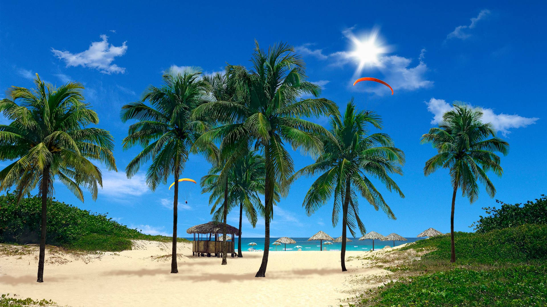 → Palme Beach Live 3D-tapet - Opdag strandens subtropiske skønhed som aldrig før, når du installerer dette full-motion 3D-tapet, der fører dig til en solrig bystrand. Wallpaper