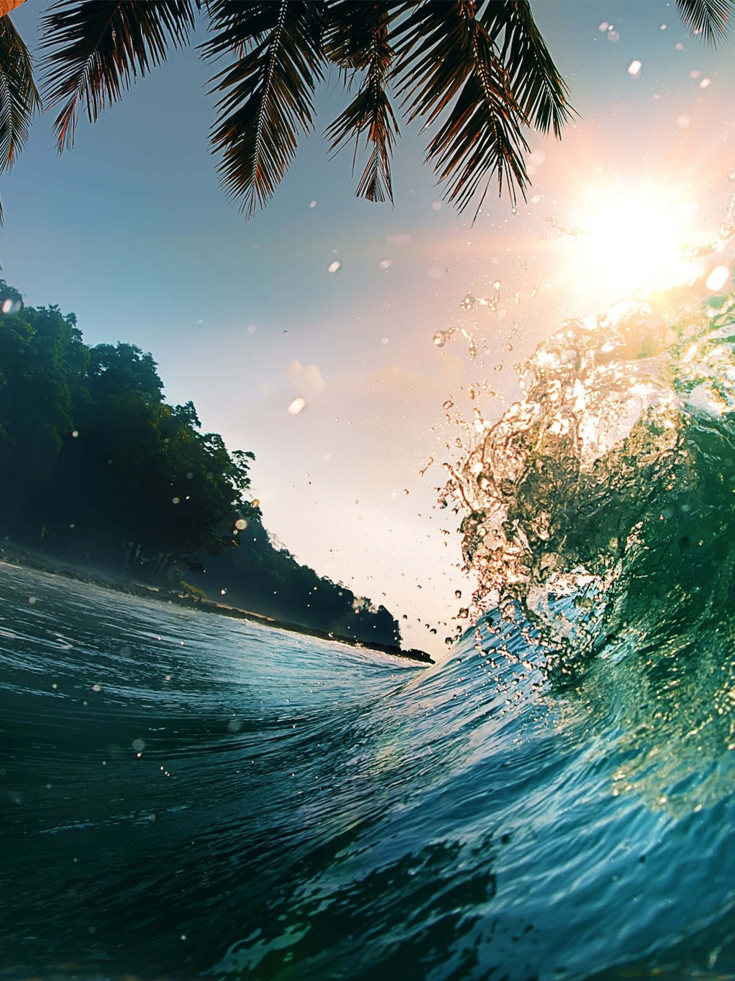 Palmbeach Ocean Waves = Palm Beach Havsvågor Wallpaper
