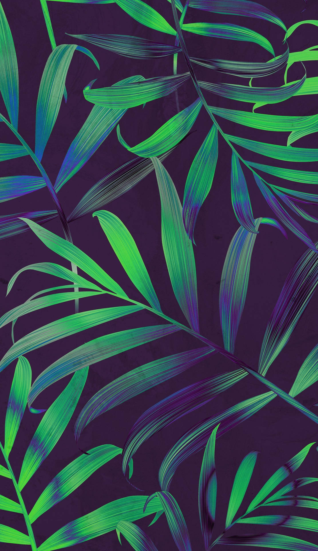 Palm Branches Dope Iphone Wallpaper