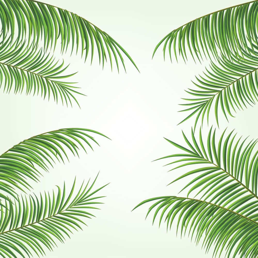 Refreshing Palm Leaves Background