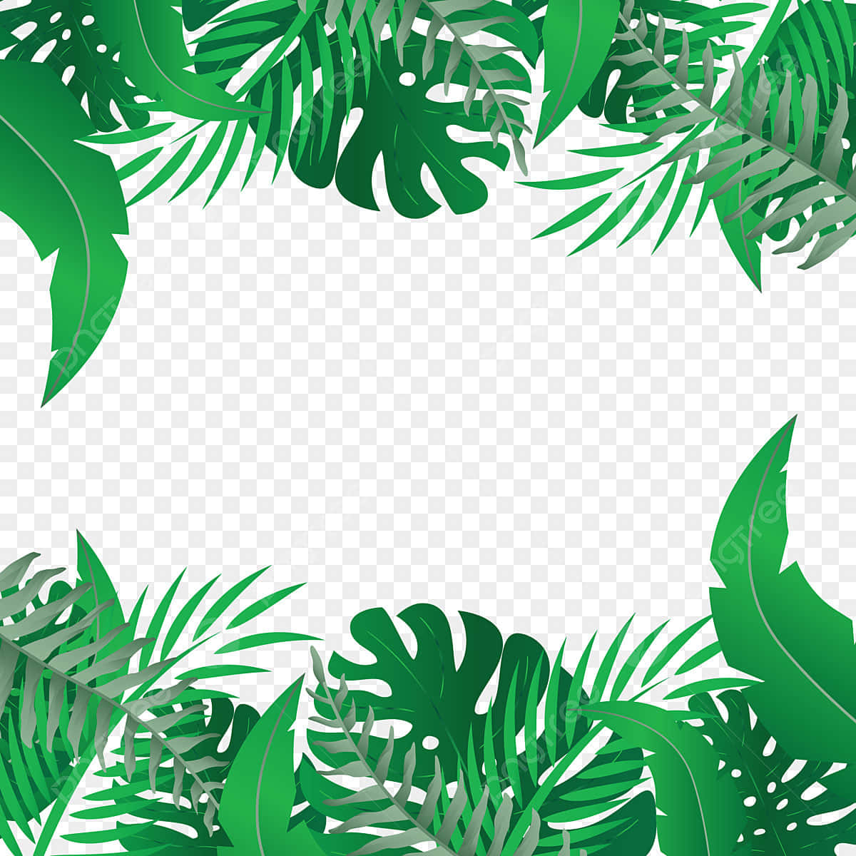 Natural Summer Escape - Palm Leaves
