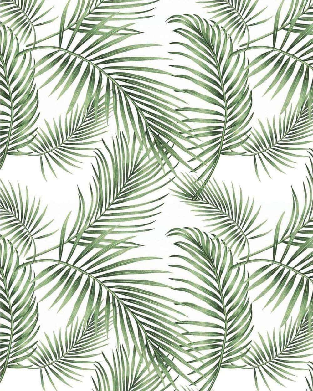 A Green Palm Leaf Pattern On A White Background