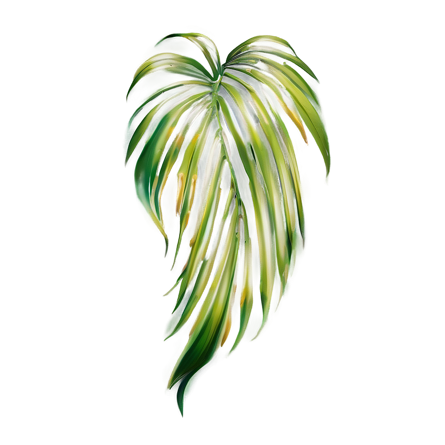 Palm Leaves Drawing Png Tsv PNG