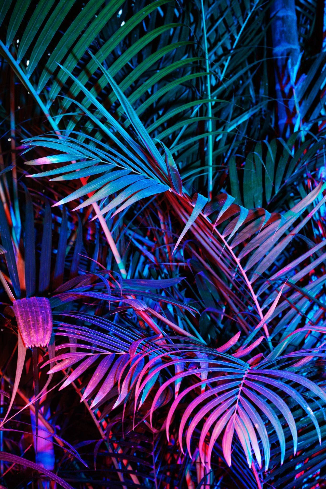 Palm Leaves For Purple Aesthetic Iphone Background