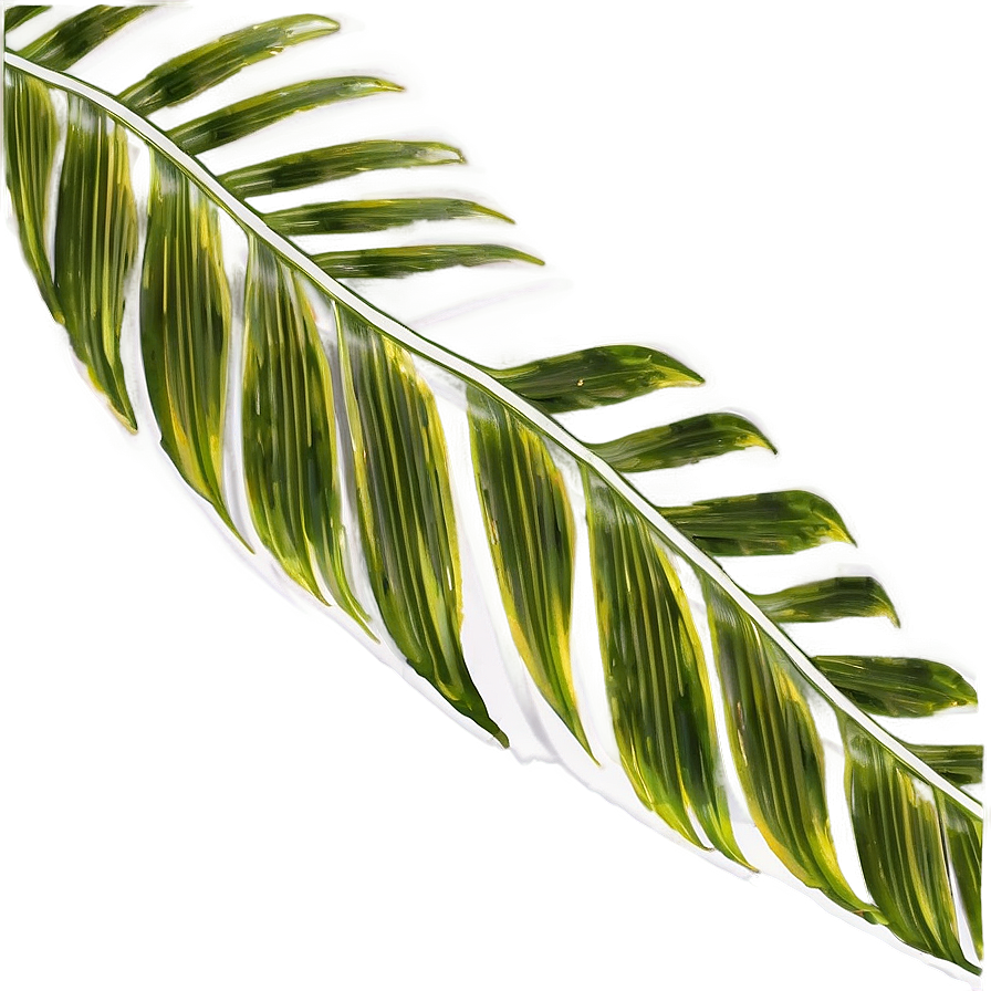 Palm Leaves Frame Png Vrg PNG