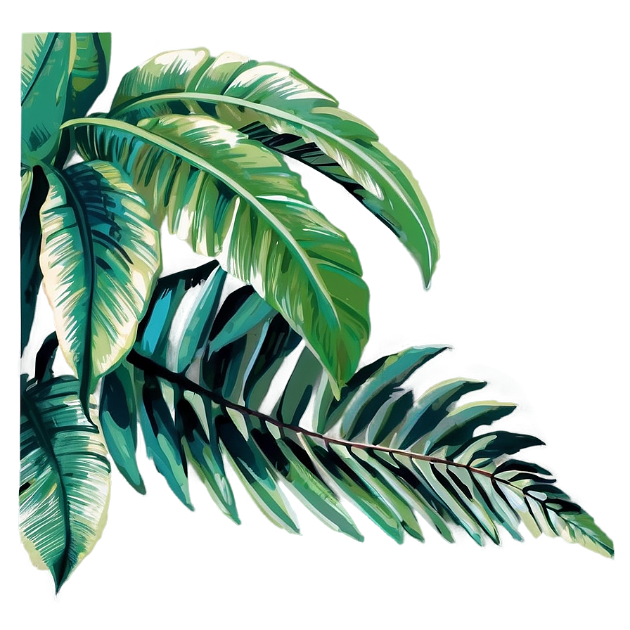 Download Palm Leaves Illustration Png 50 | Wallpapers.com