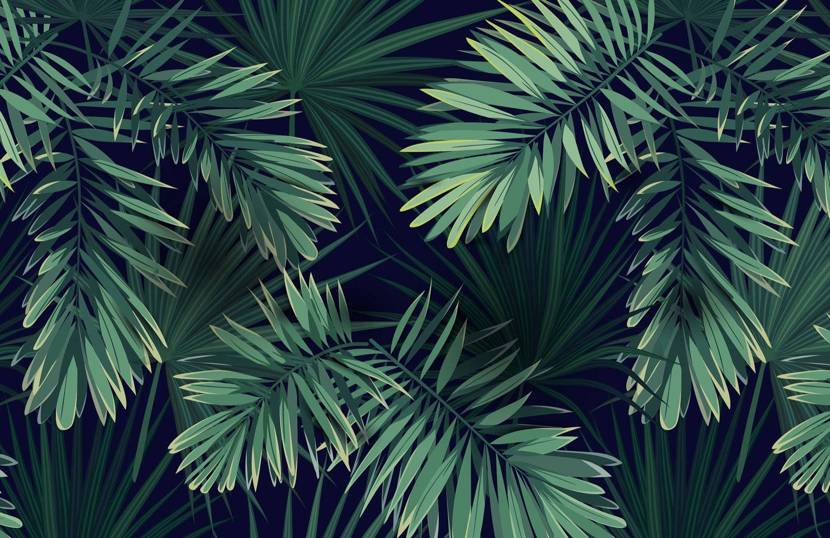 Palm Leaves Plants Digital Artwork Background