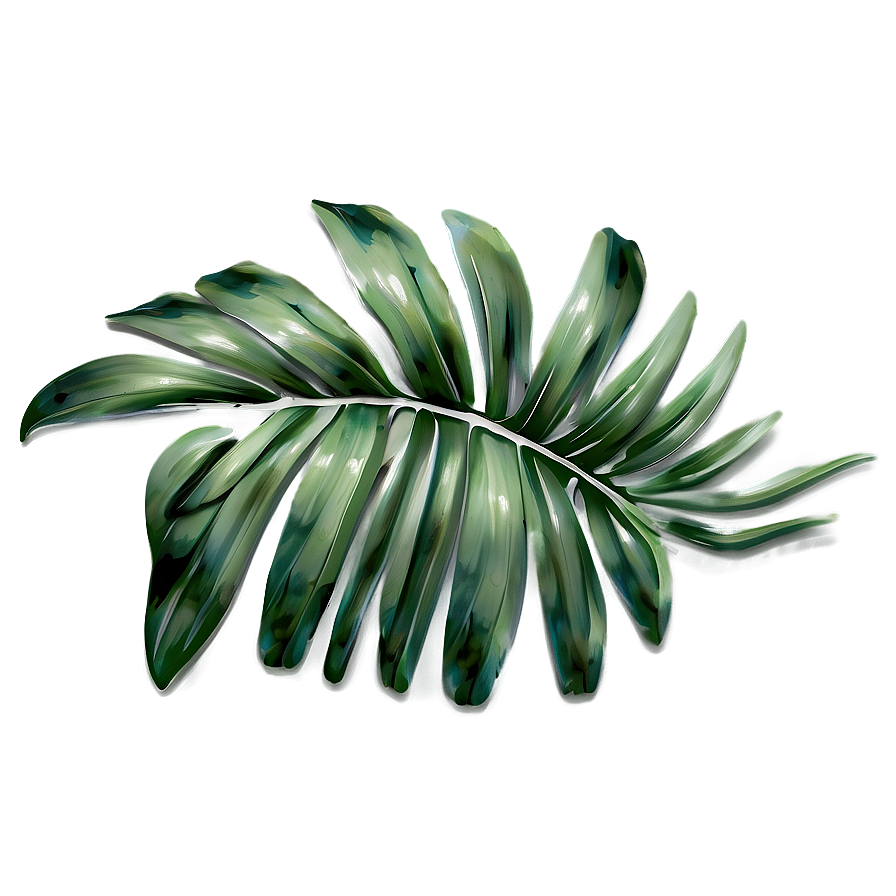 Palm Leaves Print Png 05252024 PNG