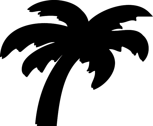 Palm Silhouette Graphic PNG
